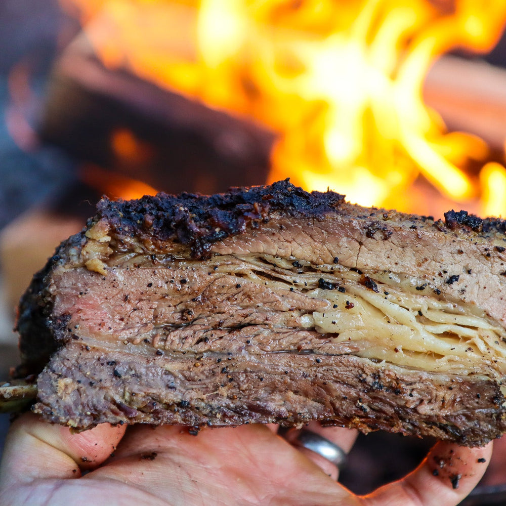 Dino beef ribs in front of a fire