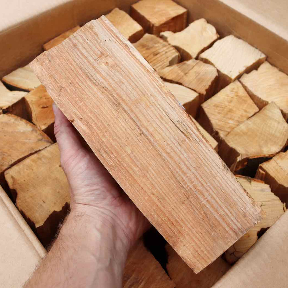 25cm British Kiln-Dried Log Held in Hand