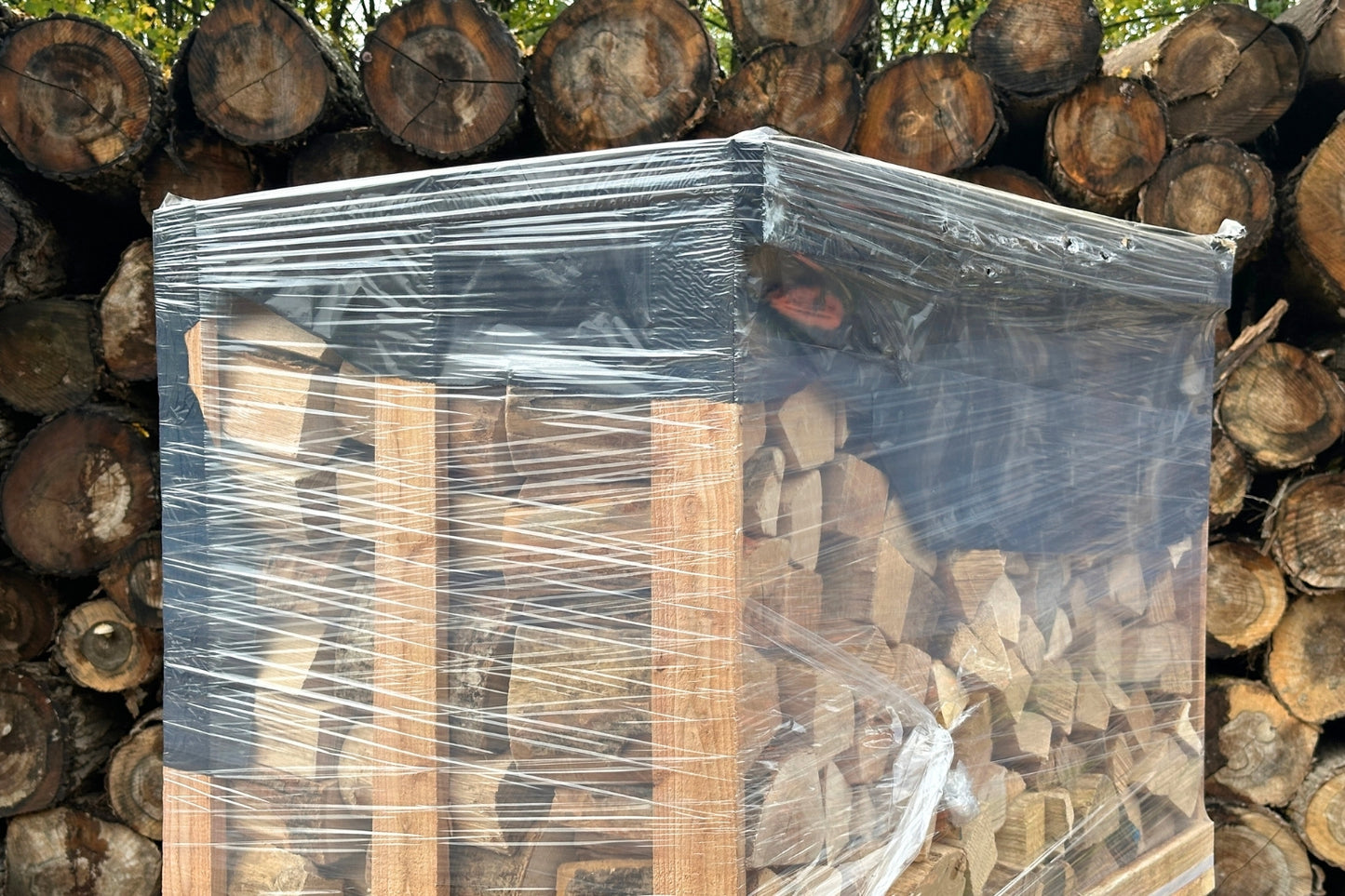Top of Crate of Ready to Burn Kiln Dried British Logs with Weather Protection