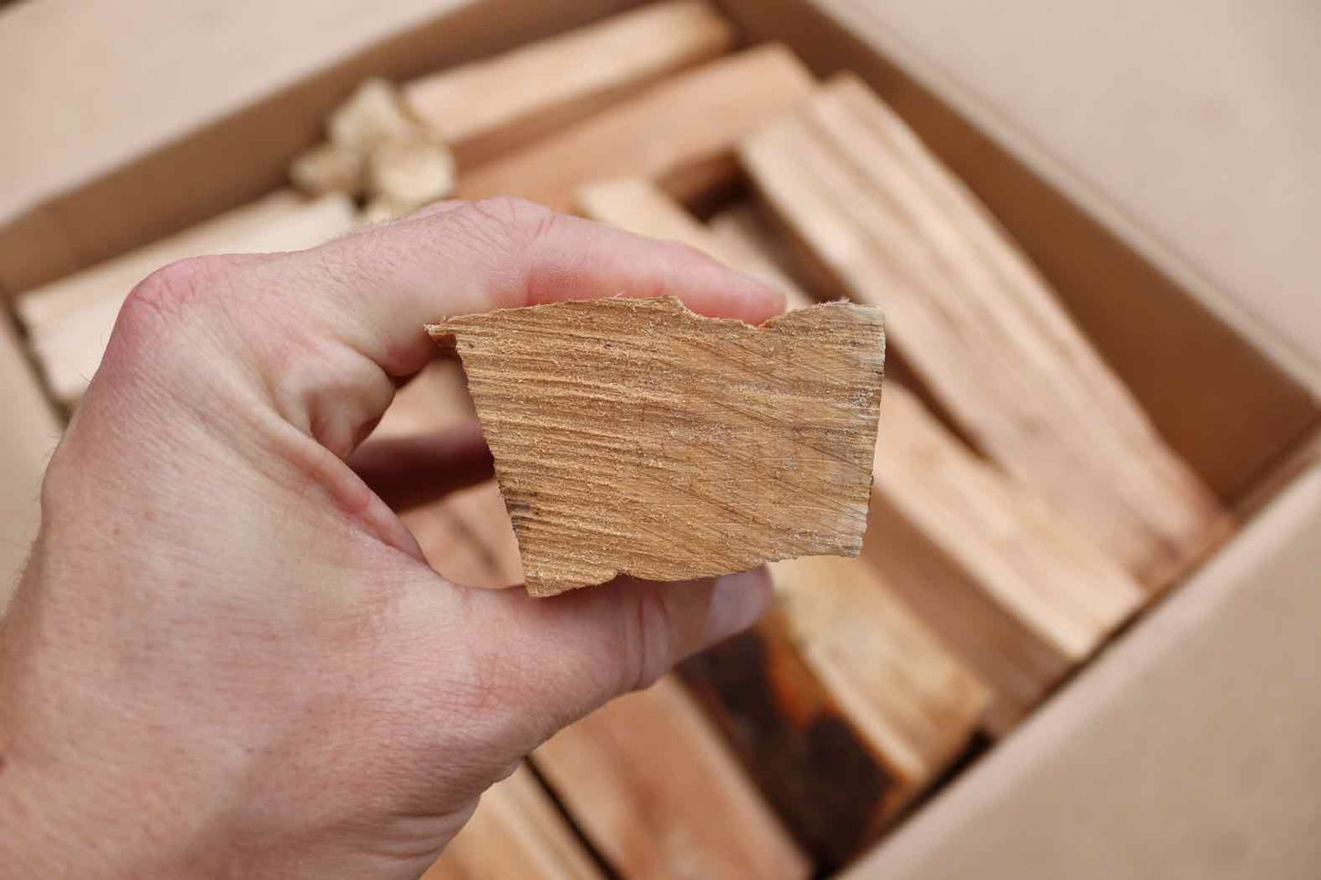 Love Logs Beech cooking wood split end on to show thickness