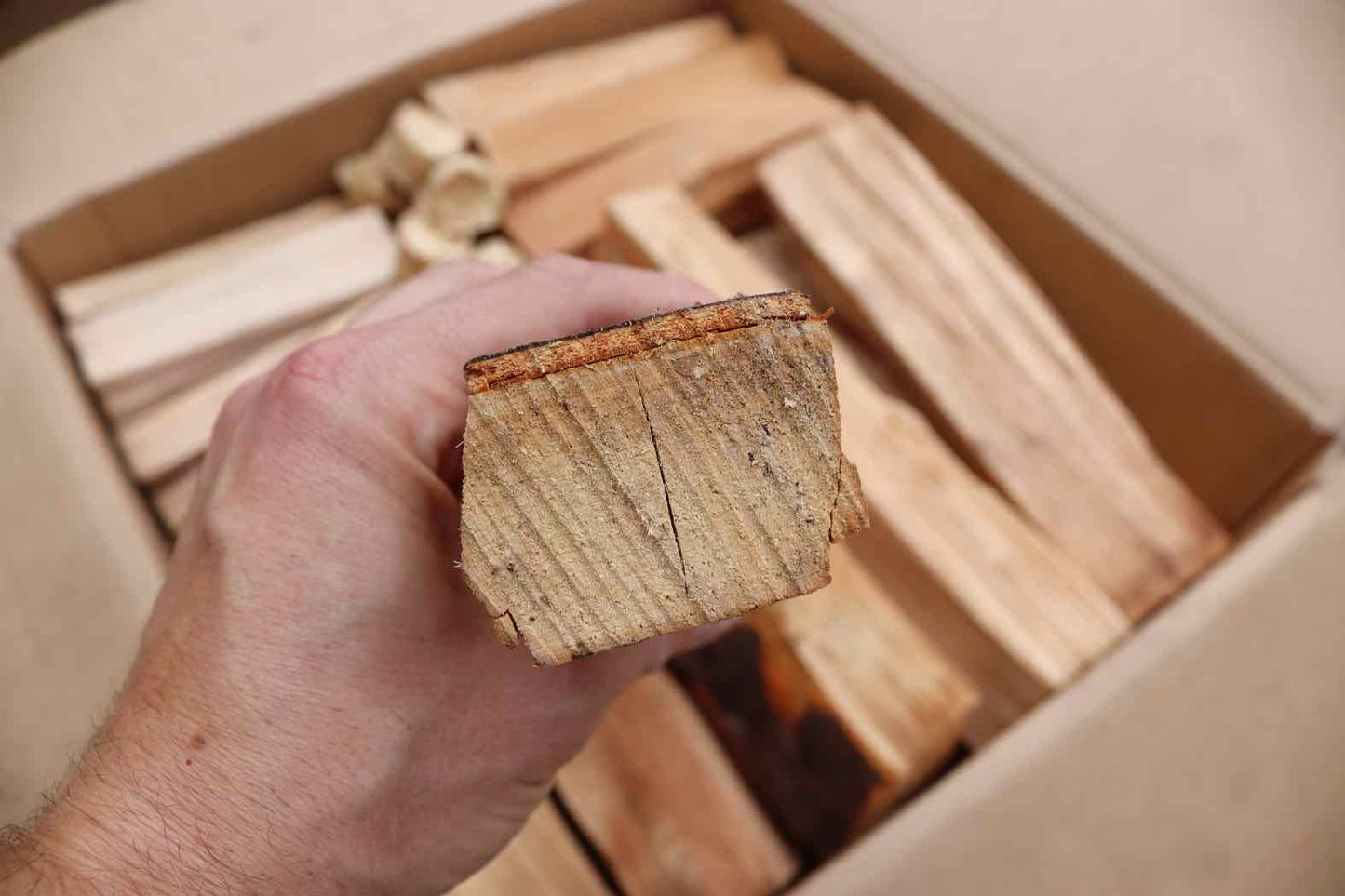 Love Logs Beech wood cooking split end on to show thickness