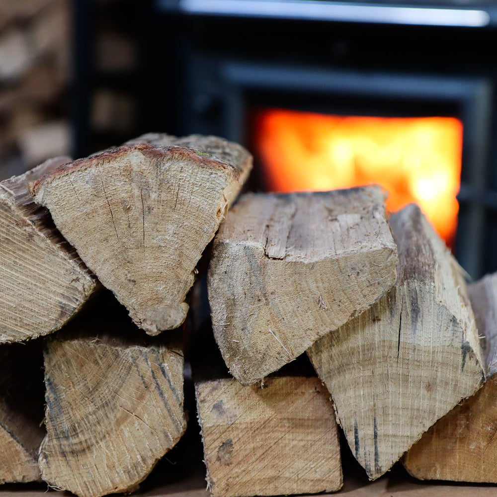 Love Logs Ready to Burn oak logs in front of log burner